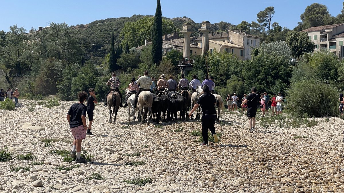 Gaze sur le Gardon de Remoulins 2026 (Photo Anthony Maurin)