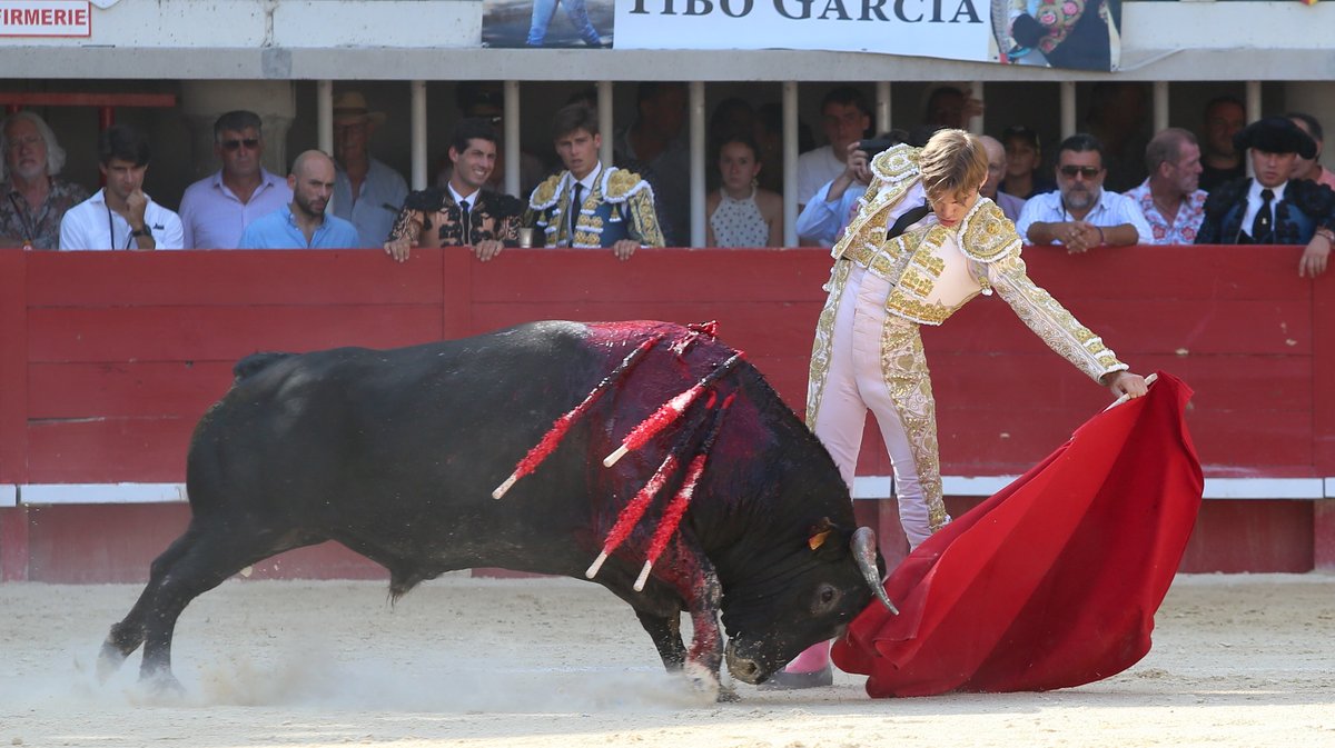 Corrida de Yonnet, Jalabert, Fernay, Pagès-Mailhan, San Sebastian, Tardieu frères, Alain et Frédérique Tardieu pour Andy Younes, Adriano, Dorian Canton, Tibo Garcia,  El Rafi, Carlos Olsina et Nino Julian (Photo Anthony Maurin)