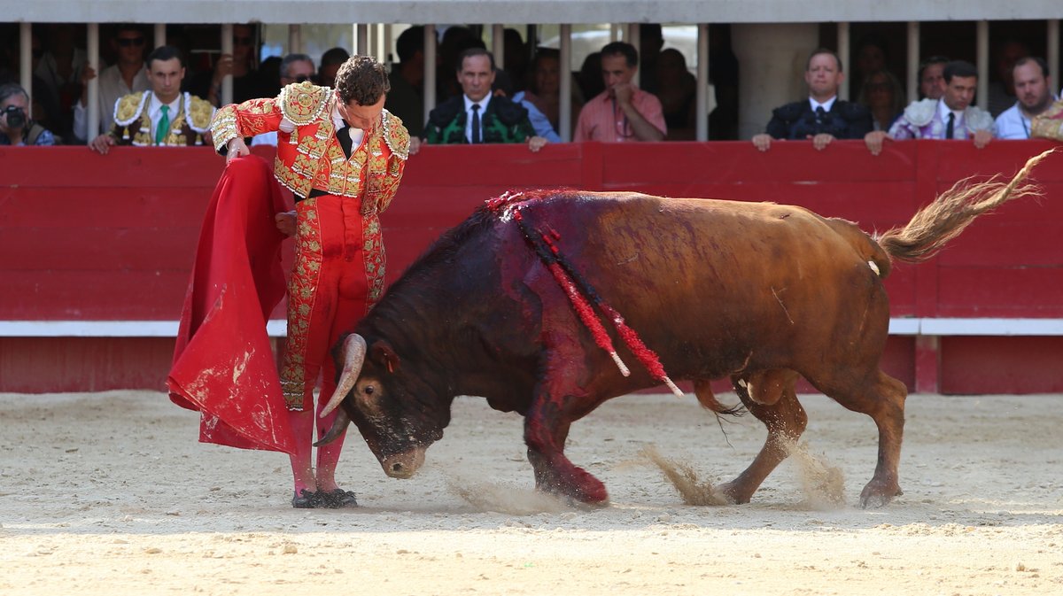 Corrida de Yonnet, Jalabert, Fernay, Pagès-Mailhan, San Sebastian, Tardieu frères, Alain et Frédérique Tardieu pour Andy Younes, Adriano, Dorian Canton, Tibo Garcia,  El Rafi, Carlos Olsina et Nino Julian (Photo Anthony Maurin)