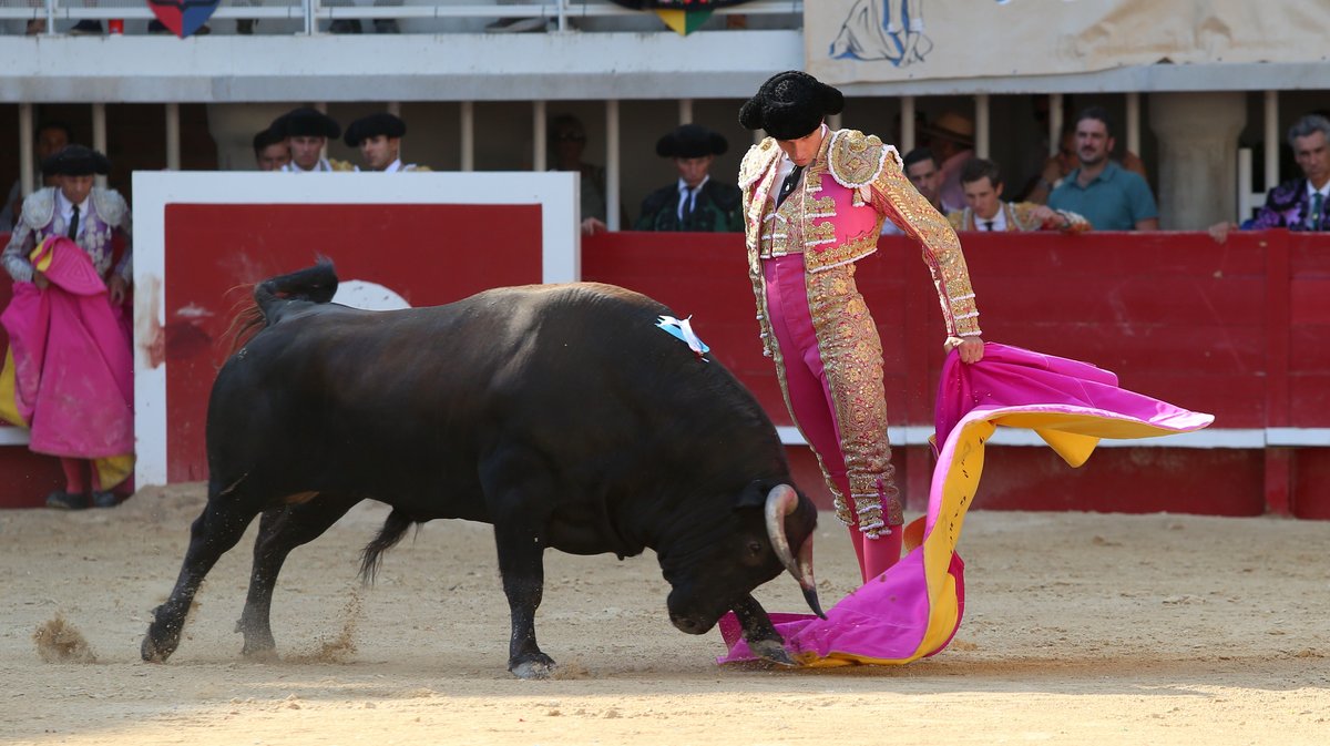 Corrida de Yonnet, Jalabert, Fernay, Pagès-Mailhan, San Sebastian, Tardieu frères, Alain et Frédérique Tardieu pour Andy Younes, Adriano, Dorian Canton, Tibo Garcia,  El Rafi, Carlos Olsina et Nino Julian (Photo Anthony Maurin)
