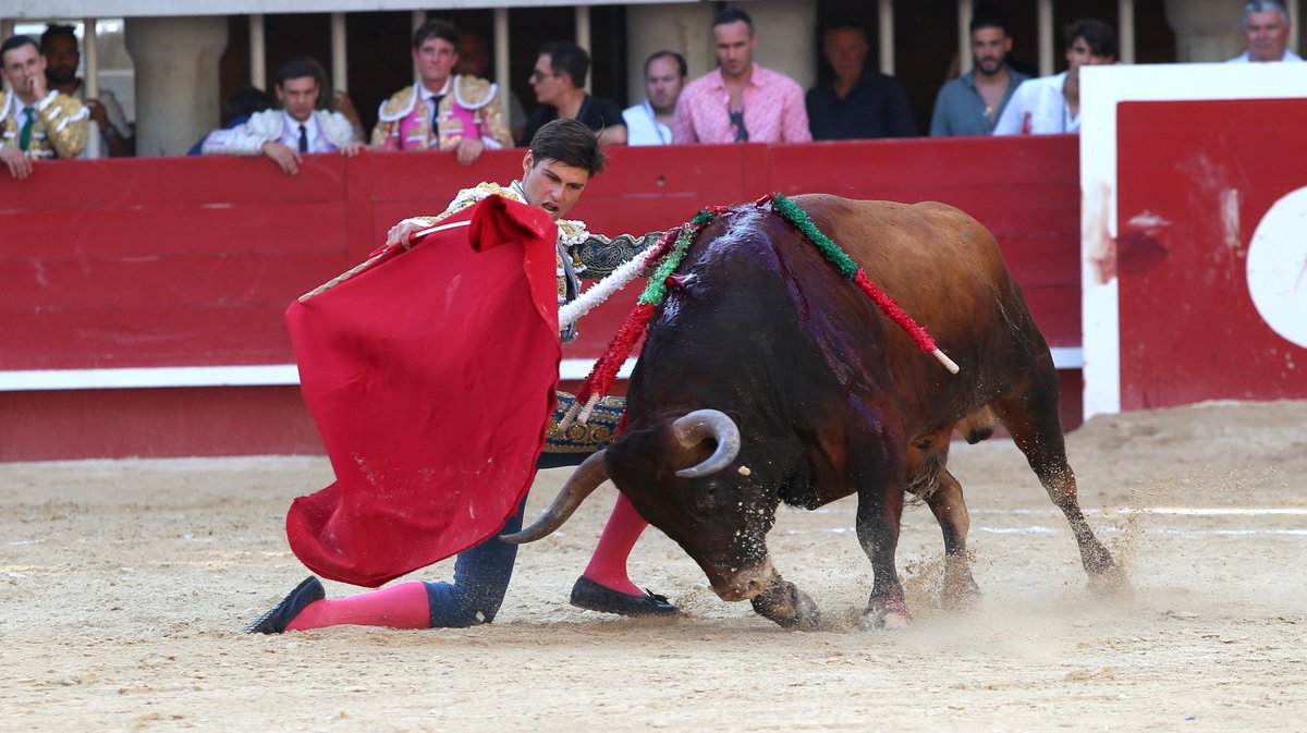 Corrida de Yonnet, Jalabert, Fernay, Pagès-Mailhan, San Sebastian, Tardieu frères, Alain et Frédérique Tardieu pour Andy Younes, Adriano, Dorian Canton, Tibo Garcia,  El Rafi, Carlos Olsina et Nino Julian (Photo Anthony Maurin)
