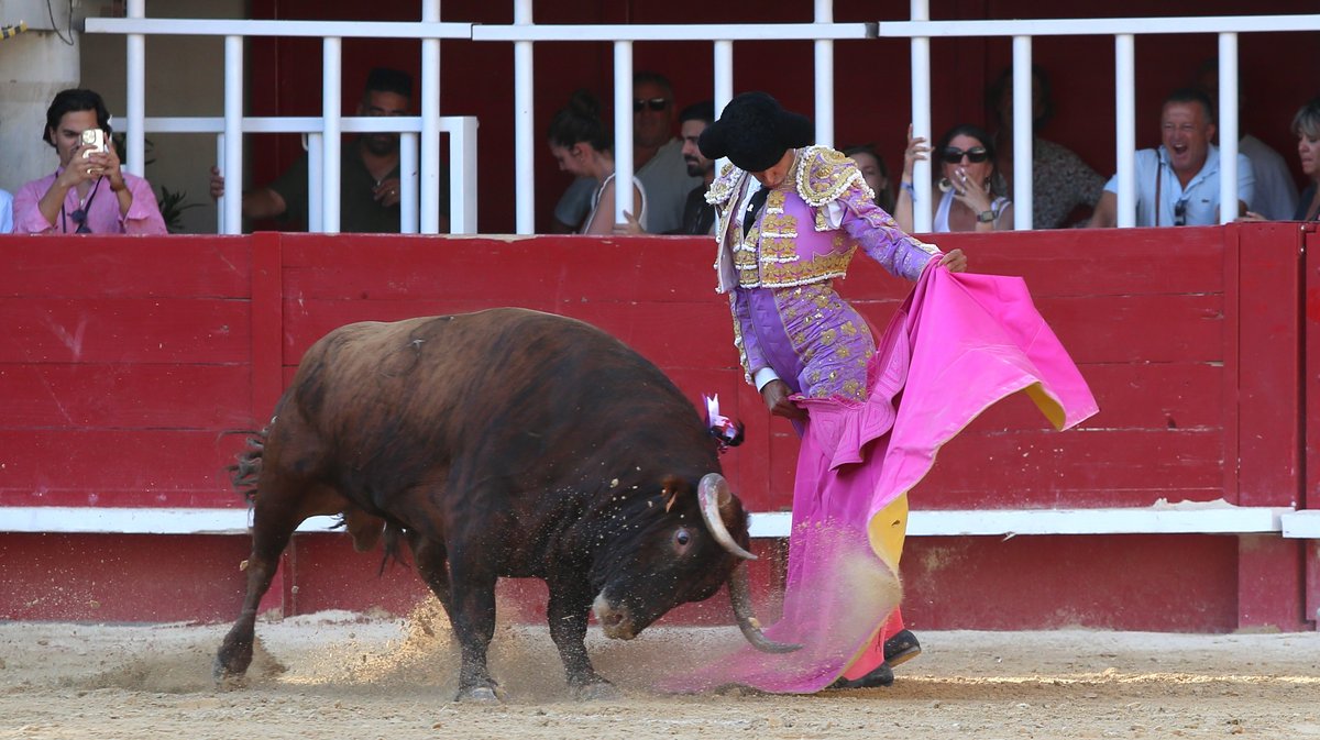 Corrida de Yonnet, Jalabert, Fernay, Pagès-Mailhan, San Sebastian, Tardieu frères, Alain et Frédérique Tardieu pour Andy Younes, Adriano, Dorian Canton, Tibo Garcia,  El Rafi, Carlos Olsina et Nino Julian (Photo Anthony Maurin)