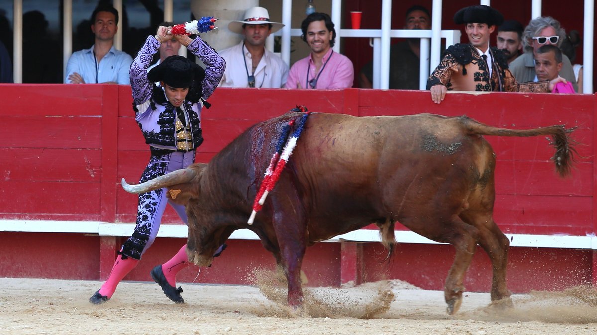Corrida de Yonnet, Jalabert, Fernay, Pagès-Mailhan, San Sebastian, Tardieu frères, Alain et Frédérique Tardieu pour Andy Younes, Adriano, Dorian Canton, Tibo Garcia,  El Rafi, Carlos Olsina et Nino Julian (Photo Anthony Maurin)