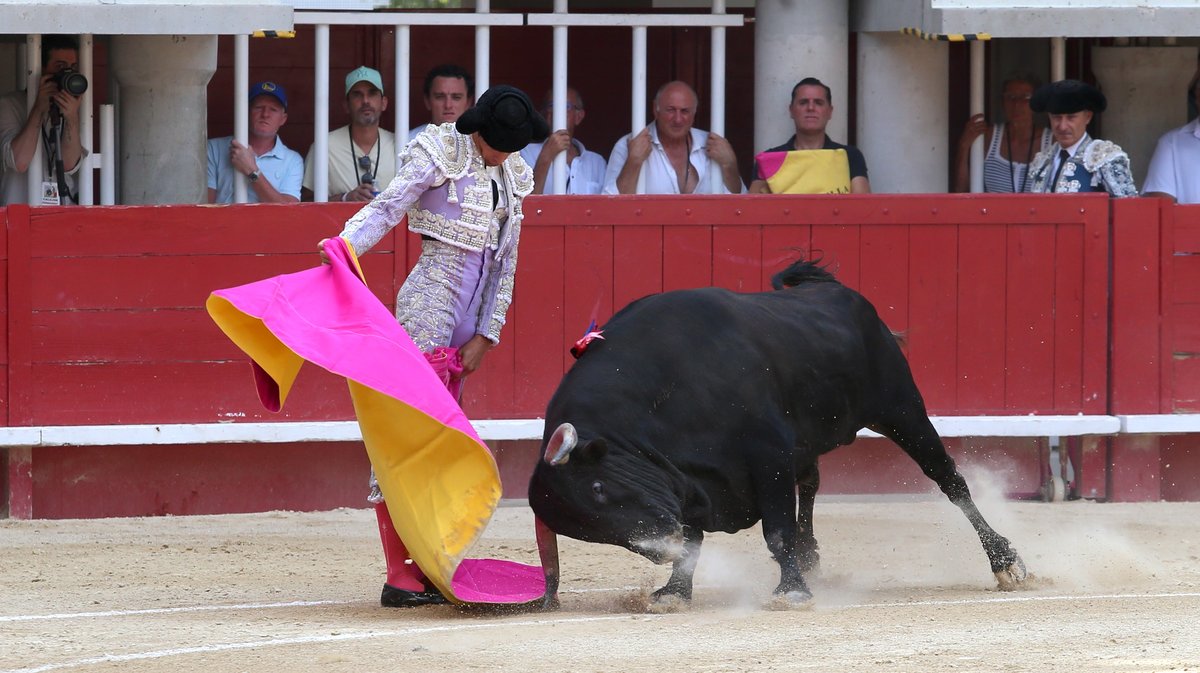 Corrida de Garcia Jimenez pour Sébastien Castella, Alejandro Talavante et Marco Perez (Photo Anthony Maurin)