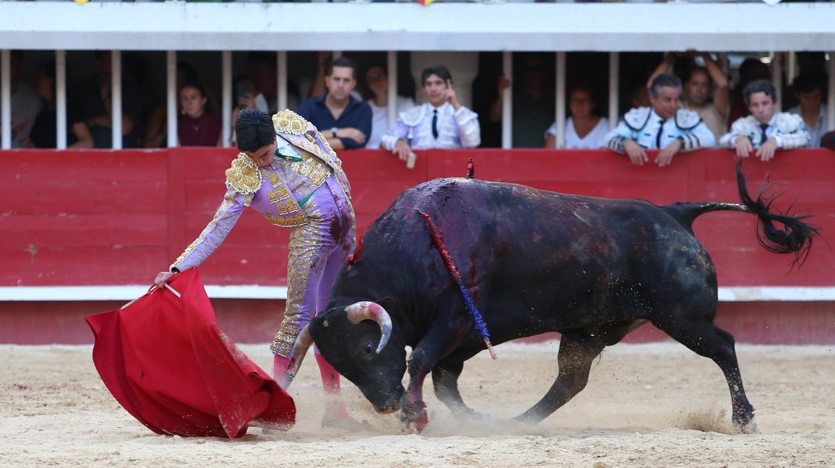 Corrida de Garcia Jimenez pour Sébastien Castella, Alejandro Talavante et Marco Perez (Photo Anthony Maurin)