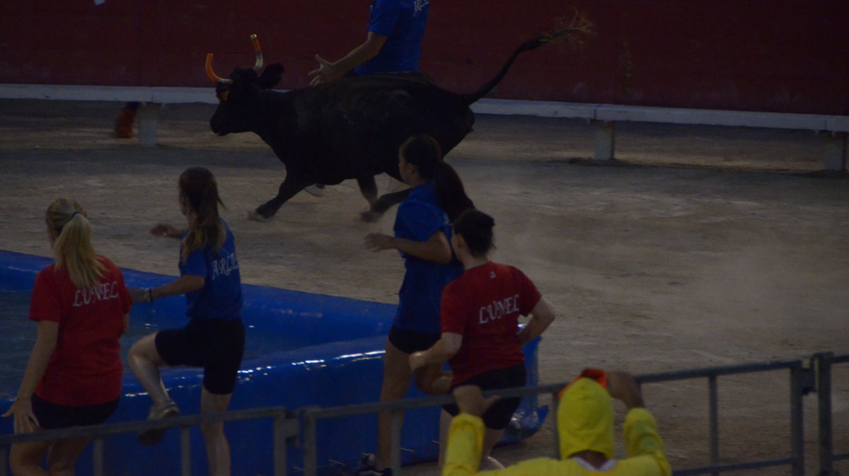 Le choc des arènes Arles vs Lunel