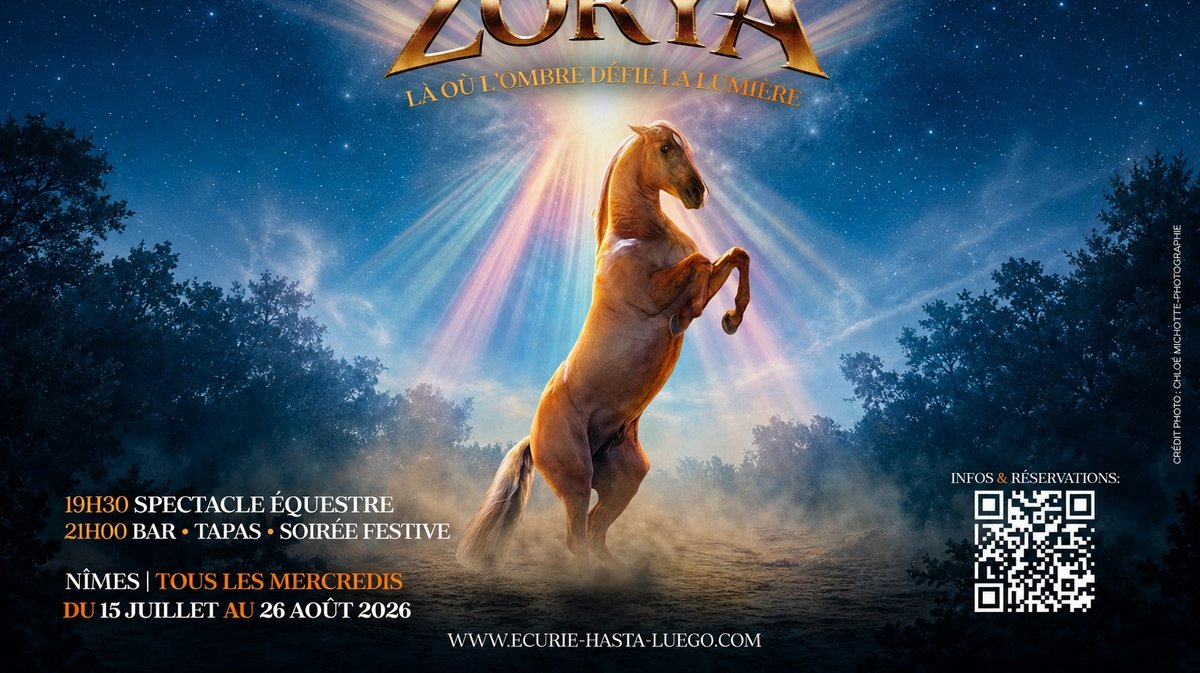 Zorya, le nouveau spectacle des Hasta luego en 2026.jpeg