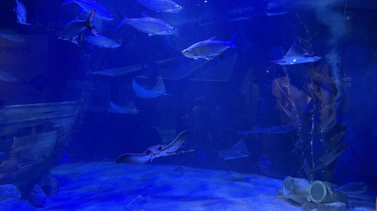 Seaquarium Grau-du-Roi