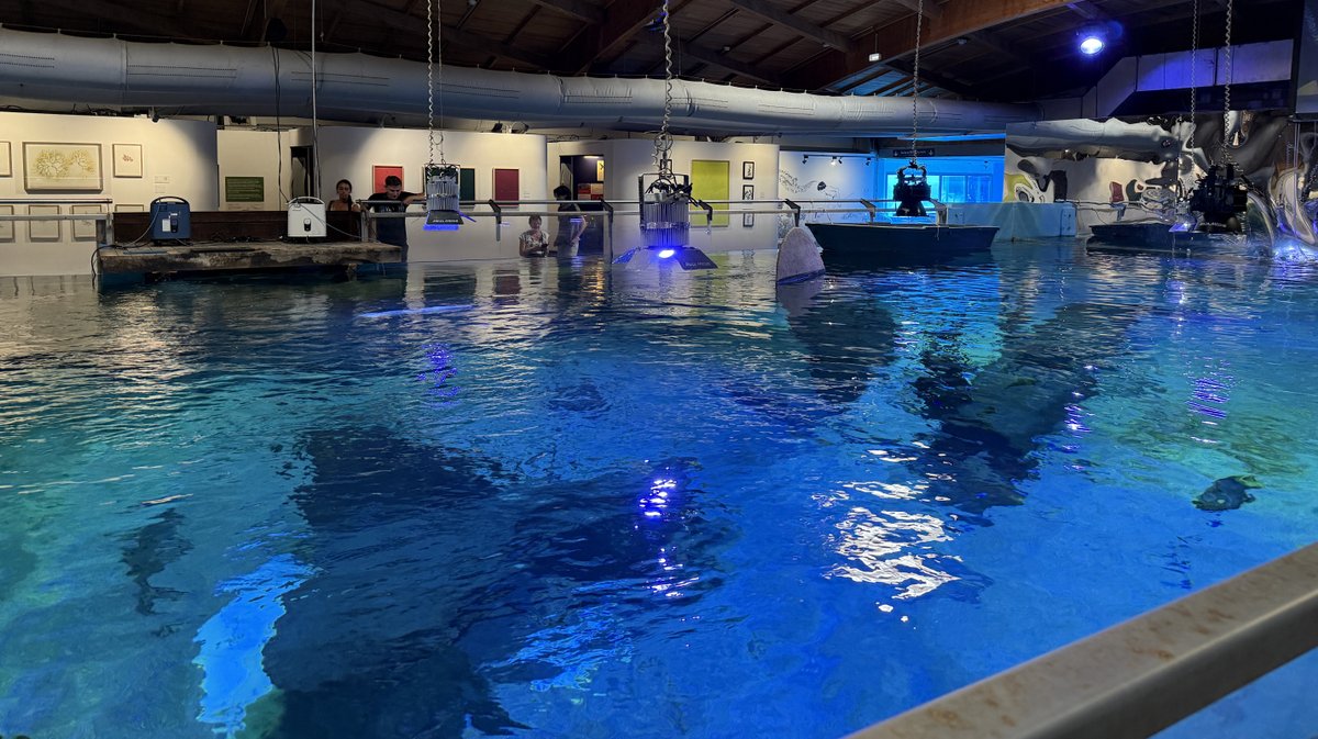 Seaquarium Grau-du-Roi