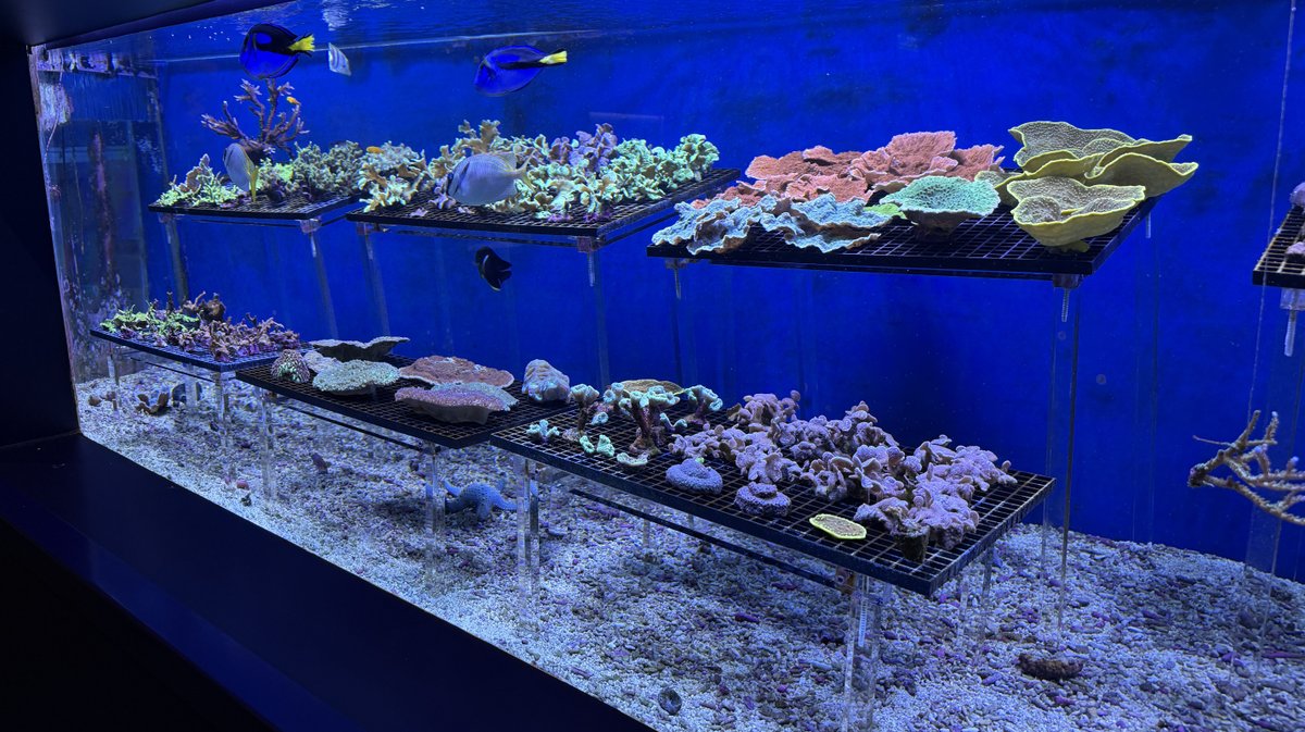 Seaquarium Grau-du-Roi
