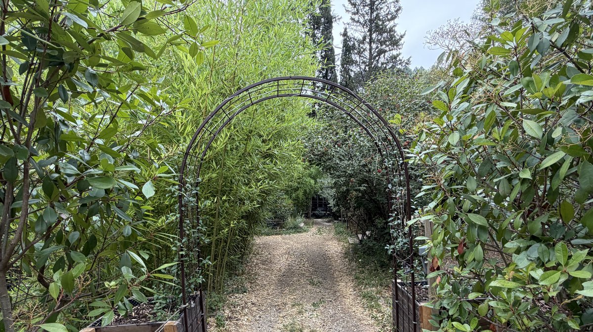 Cabanes et Bulles