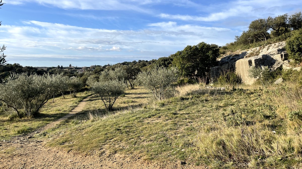 Le site du Vallon d’Escaunes à Cantarelles, carrières et tunnels de l'aqueduc du Pont du Gard (Photo Anthony Maurin)