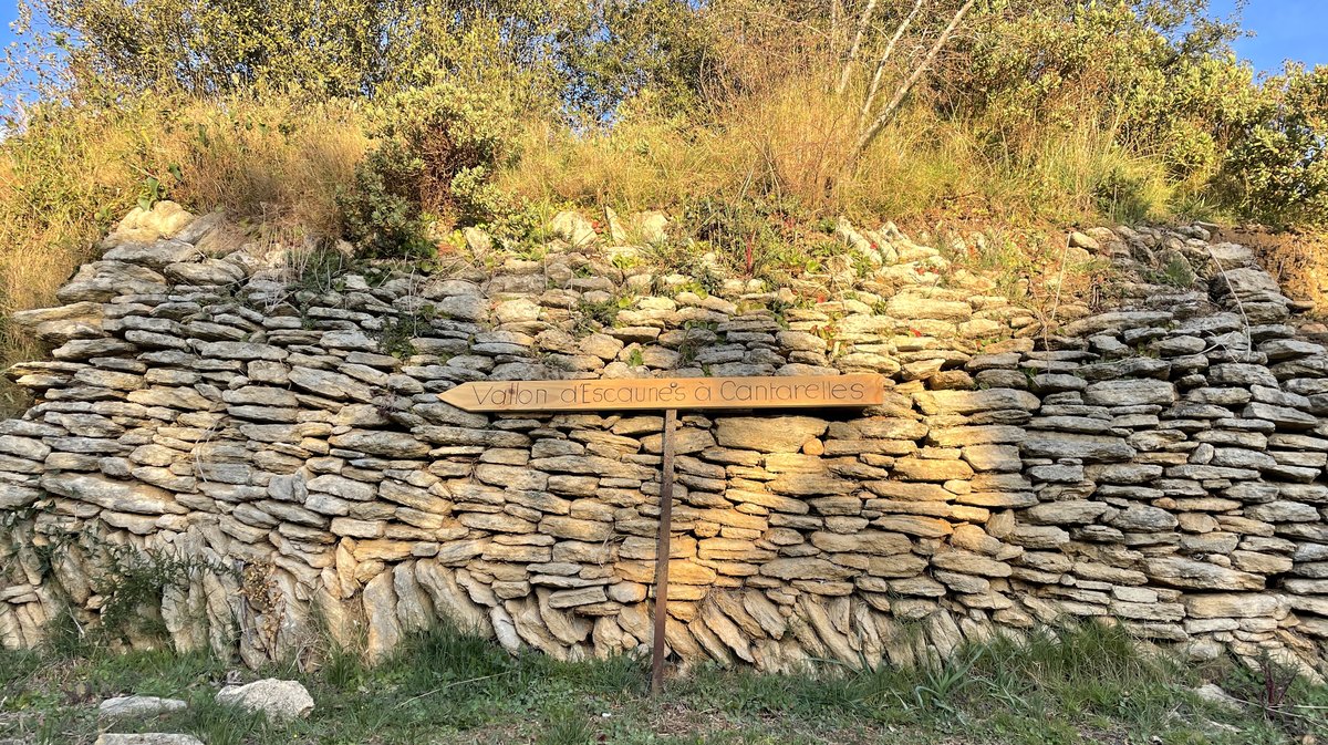 Le site du Vallon d’Escaunes à Cantarelles, carrières et tunnels de l'aqueduc du Pont du Gard (Photo Anthony Maurin)