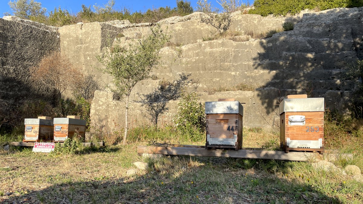 Le site du Vallon d’Escaunes à Cantarelles, carrières et tunnels de l'aqueduc du Pont du Gard (Photo Anthony Maurin)