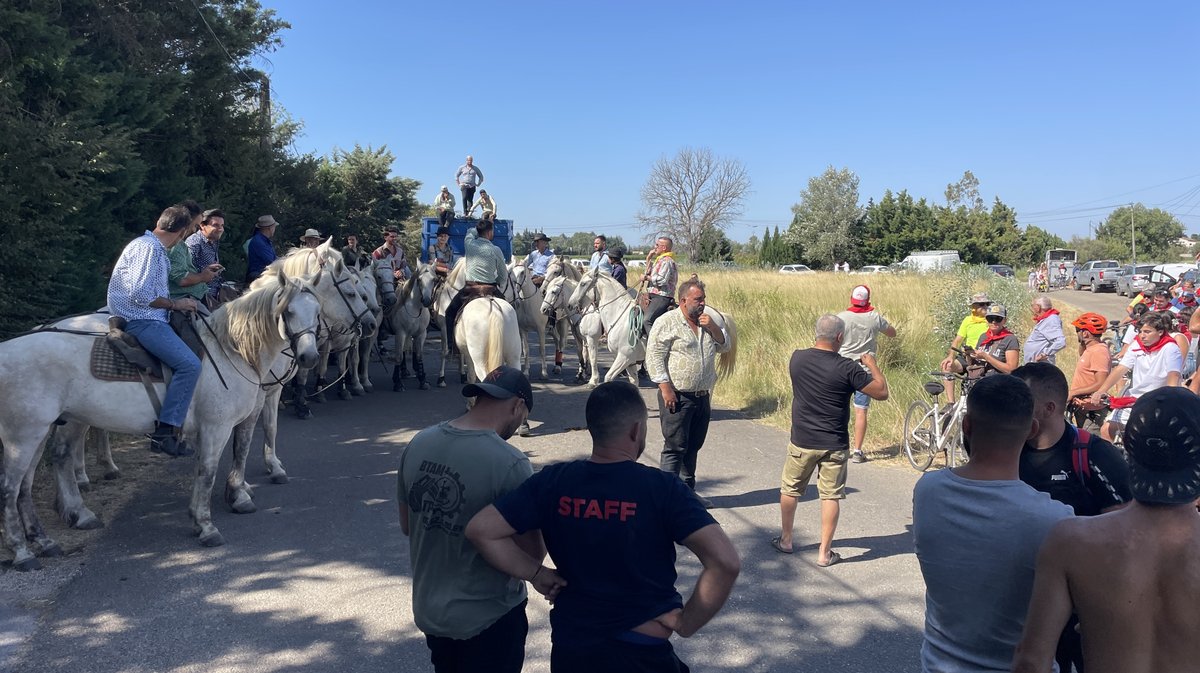 L'abrivado longue de Beaucaire (Photo Anthony Maurin)