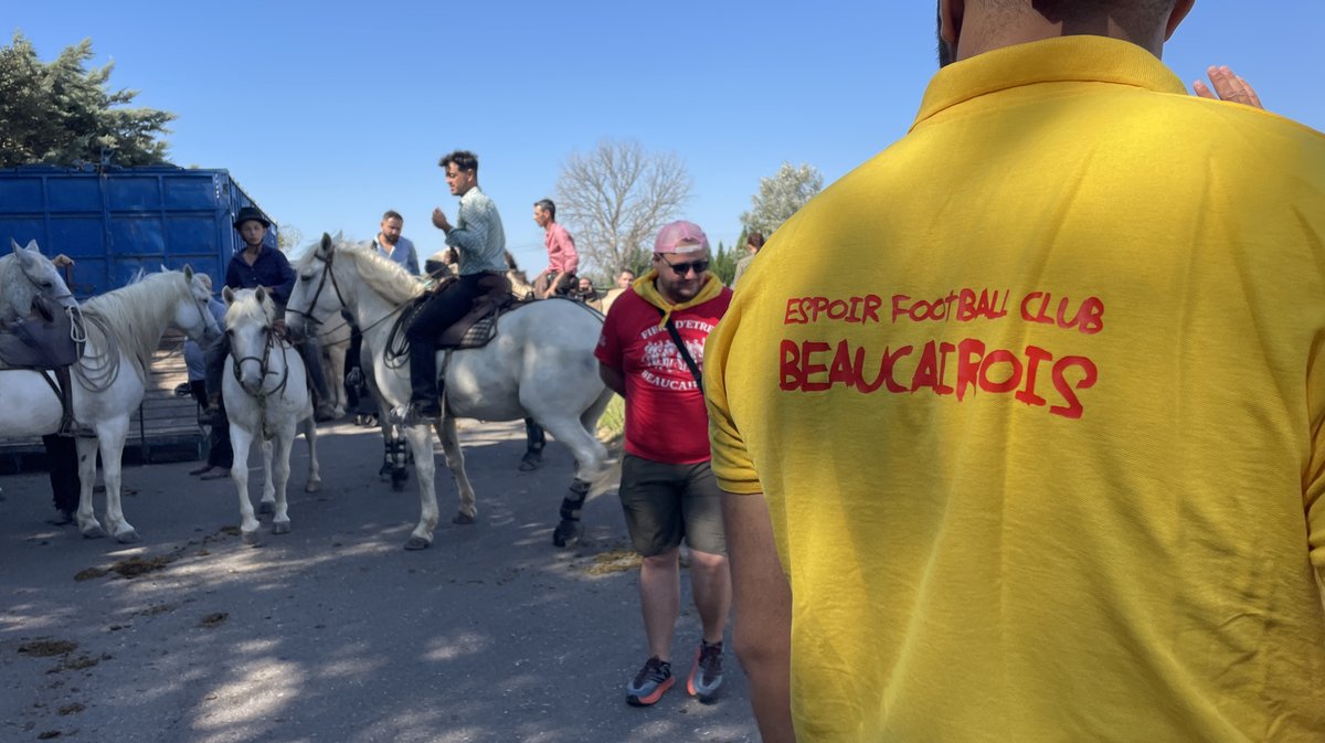 L'abrivado longue de Beaucaire (Photo Anthony Maurin)