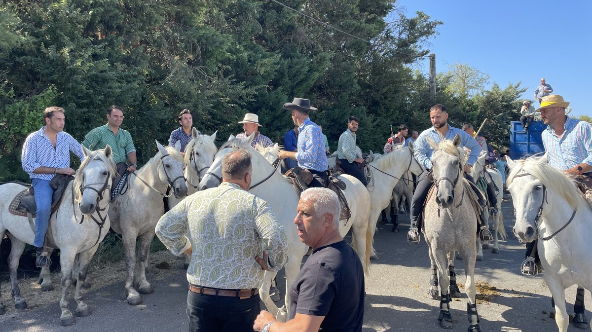 L'abrivado longue de Beaucaire (Photo Anthony Maurin)