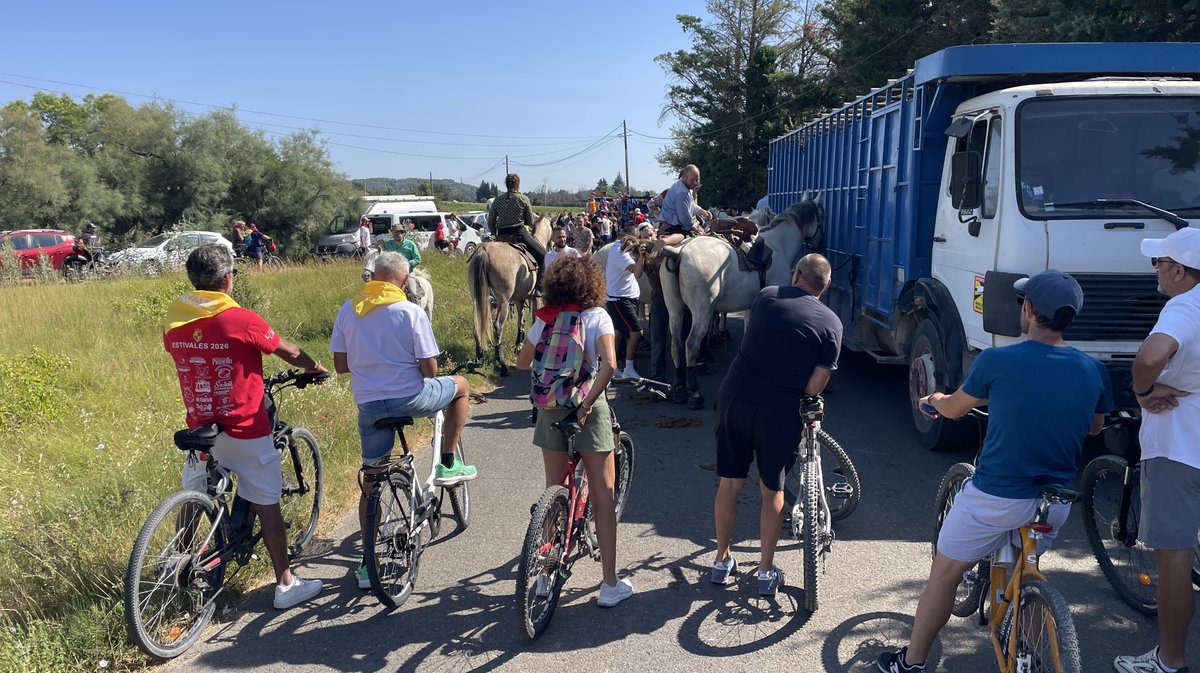 L'abrivado longue de Beaucaire (Photo Anthony Maurin)
