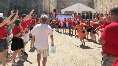 Les fous chantants