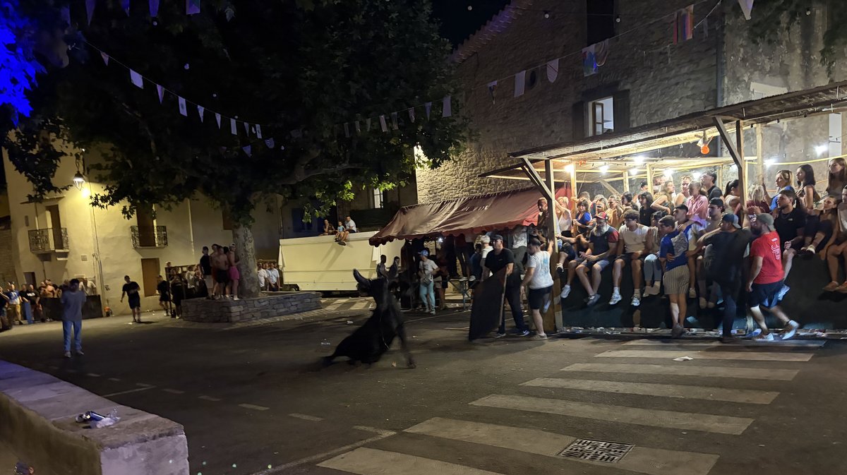 Quissac Vièle encierro