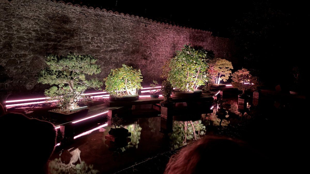 Arborescences Bambouseraie