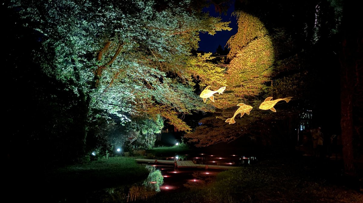 Arborescences Bambouseraie