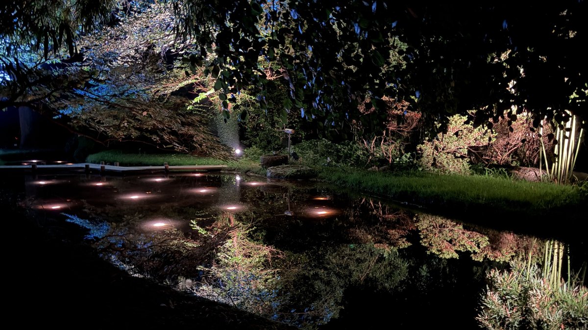 Arborescences Bambouseraie