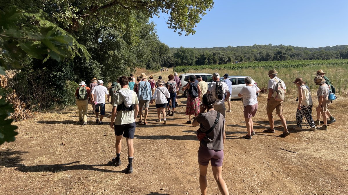 Massargues, village médiéval oublié, retrouvé, fouillé et étudié (Photo Anthony Maurin)