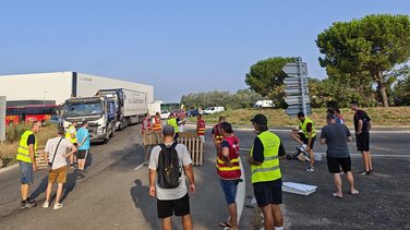 mobilisation fibre excellence tarascon