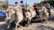 L’abrivado, une tradition qui façonne l’identité de notre territoire