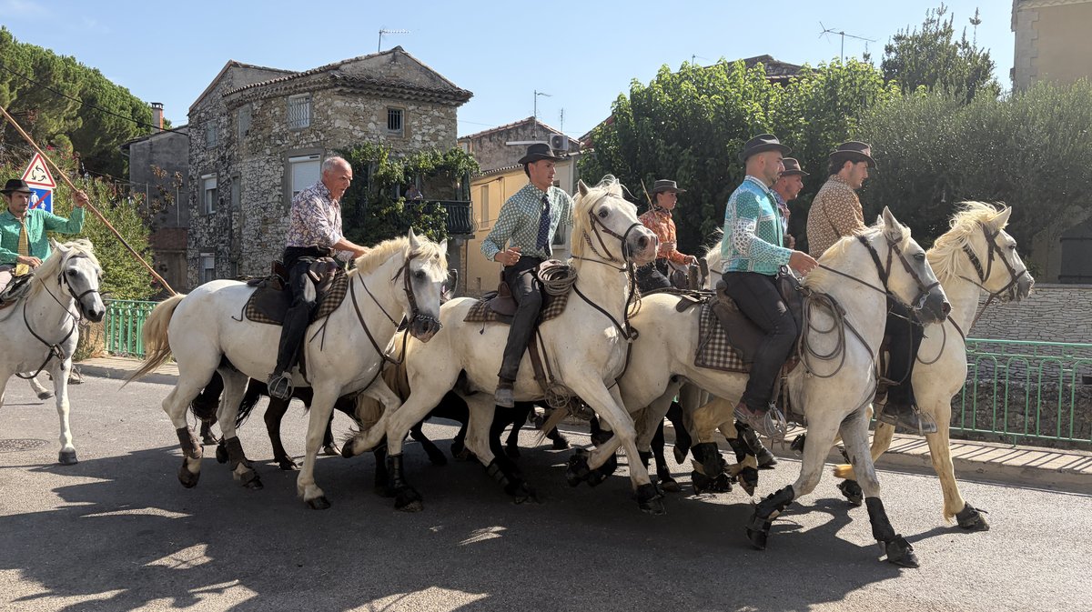 Les cavaliers forment le fameux « fer à cheval »