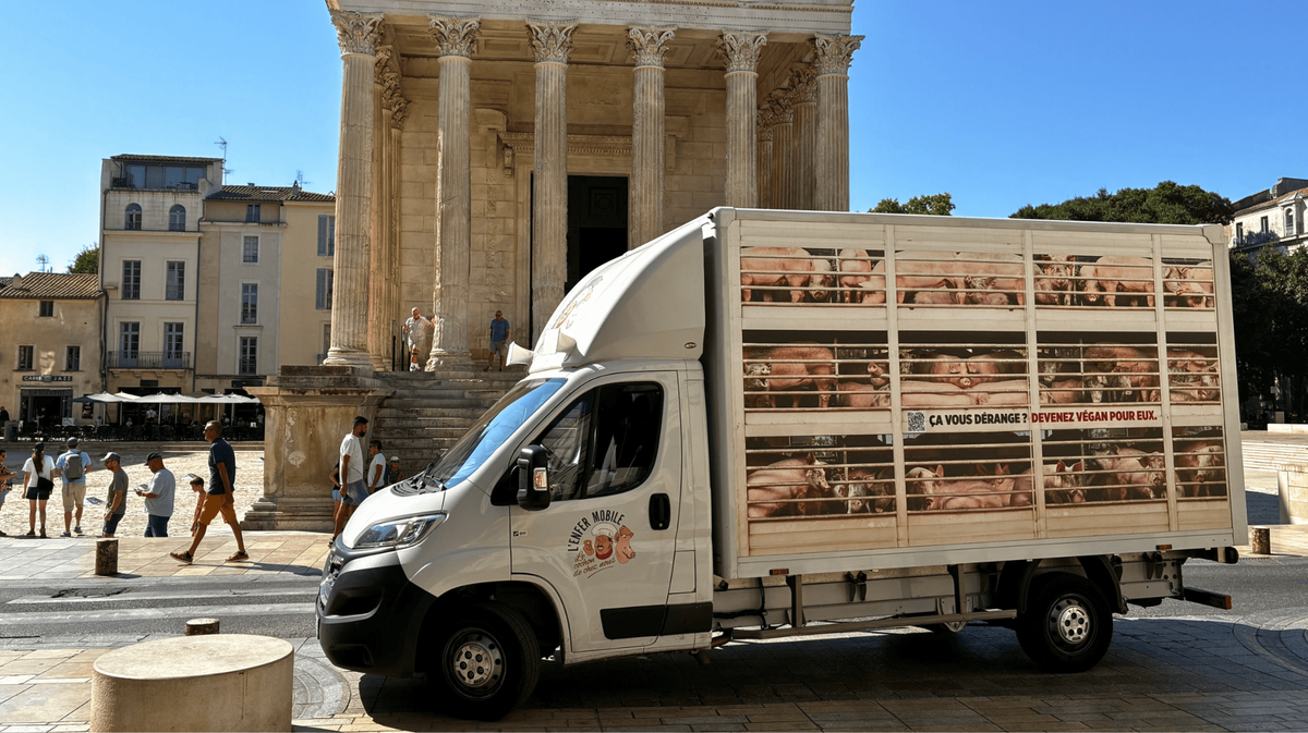 « L’Enfer mobile », le camion hyperréaliste de PETA