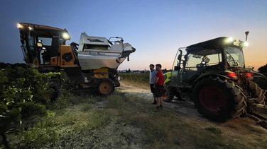 Vendanges 2026 (Photo Anthony Maurin)