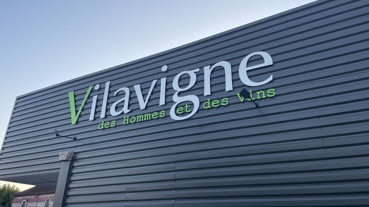 Vendanges 2026 (Photo Anthony Maurin)