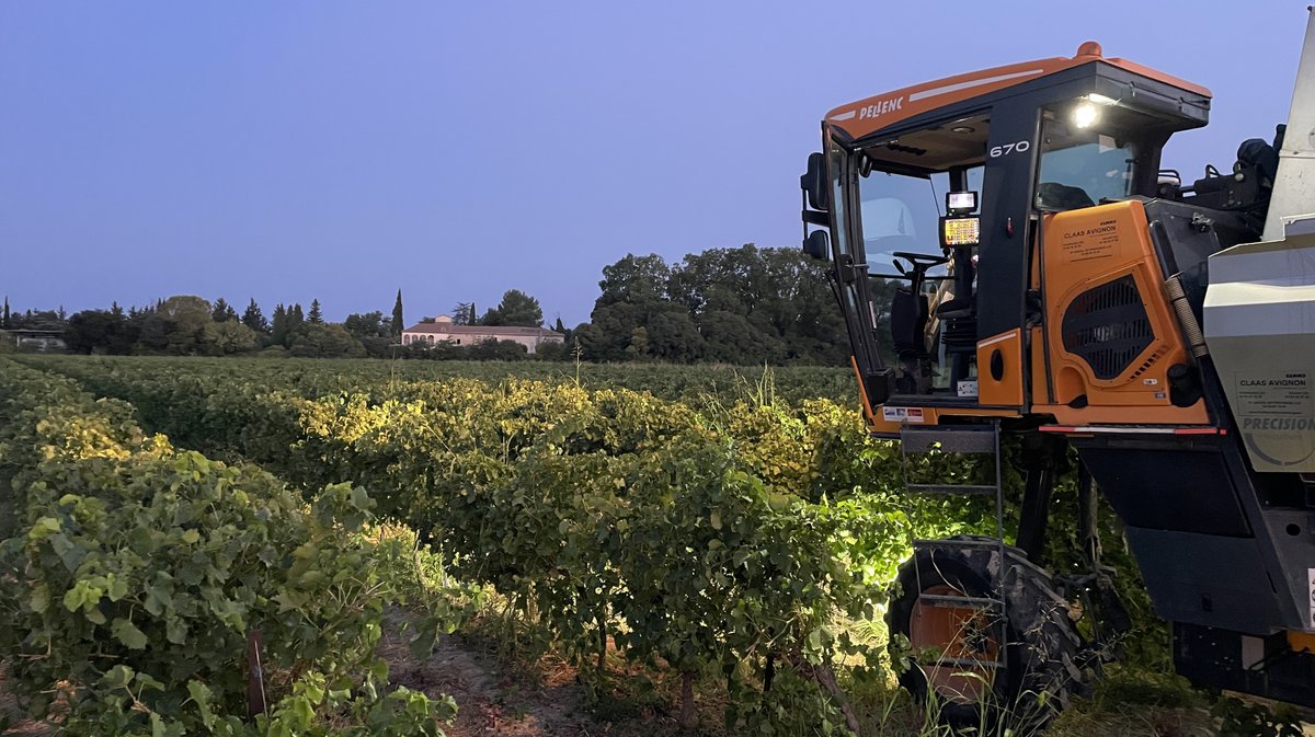 Vendanges 2026 (Photo Anthony Maurin)