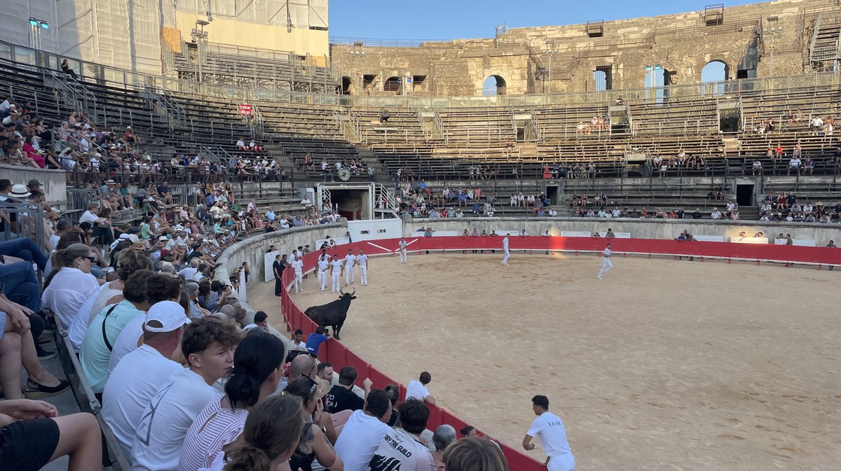 Course camarguaise arènes de Nîmes 2026 (Photo Anthony Maurin)