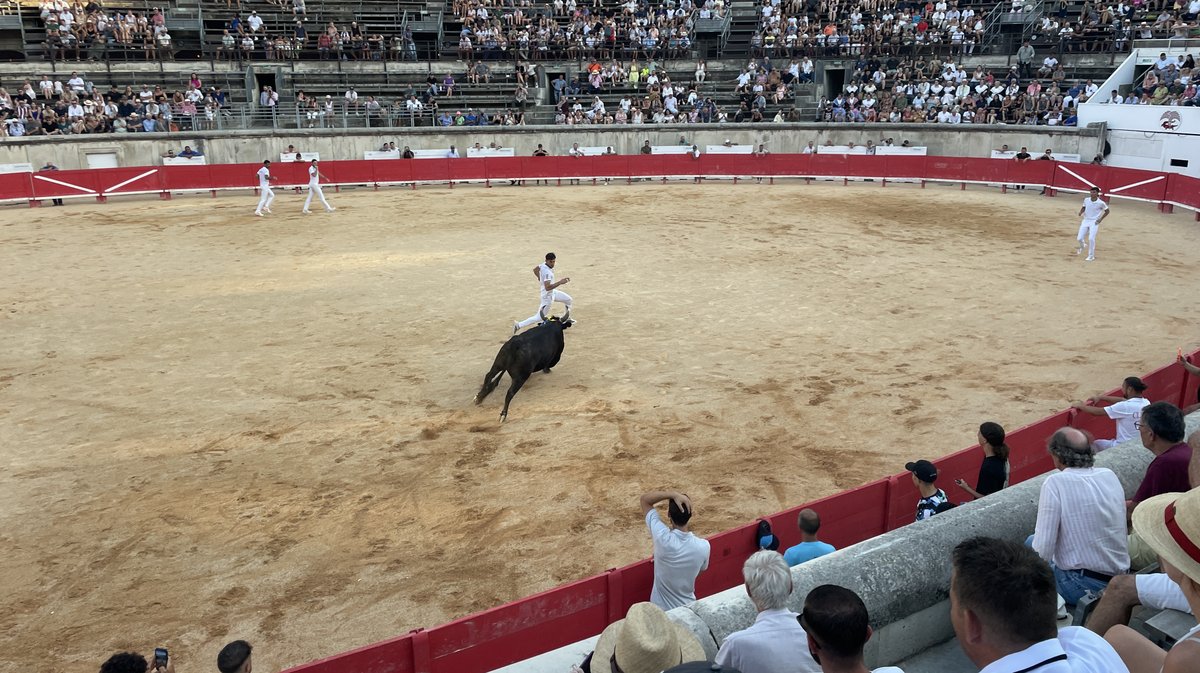 Course camarguaise arènes de Nîmes 2026 (Photo Anthony Maurin)