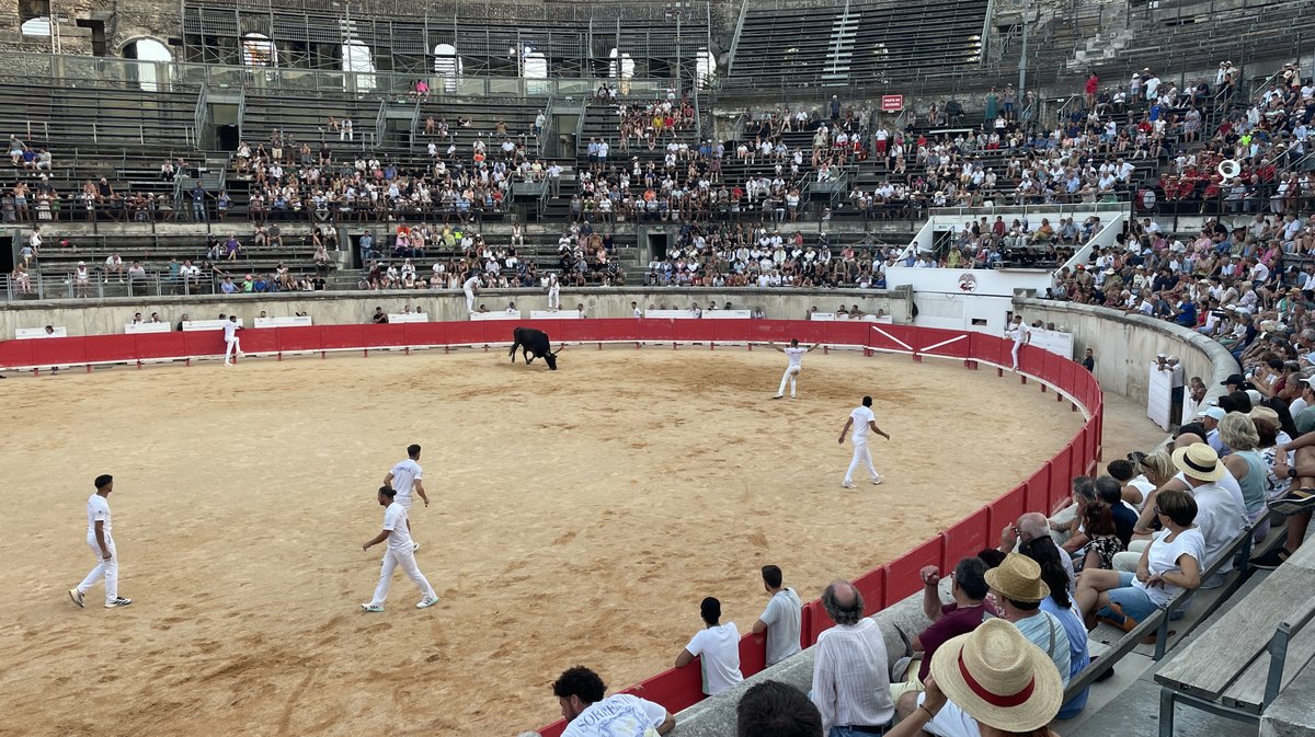 Course camarguaise arènes de Nîmes 2026 (Photo Anthony Maurin)