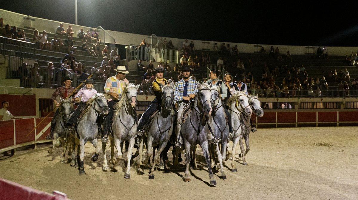 manade Milla, Mas de la Comtesse aux arenes du grau chevaux taur