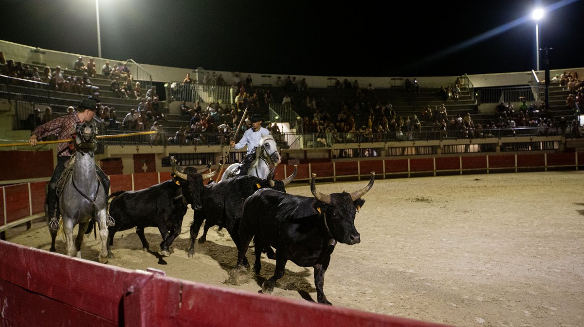 manade Milla, Mas de la Comtesse aux arenes du grau chevaux taur