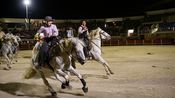 manade Milla, Mas de la Comtesse aux arenes du grau chevaux taur