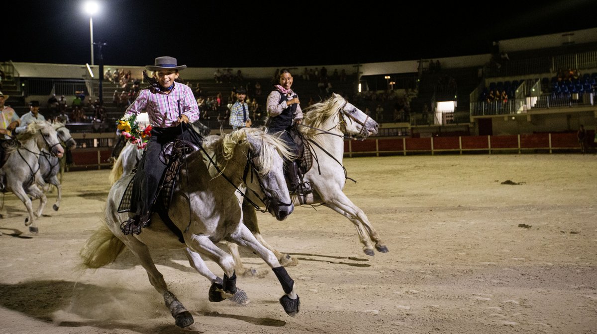 manade Milla, Mas de la Comtesse aux arenes du grau chevaux taur