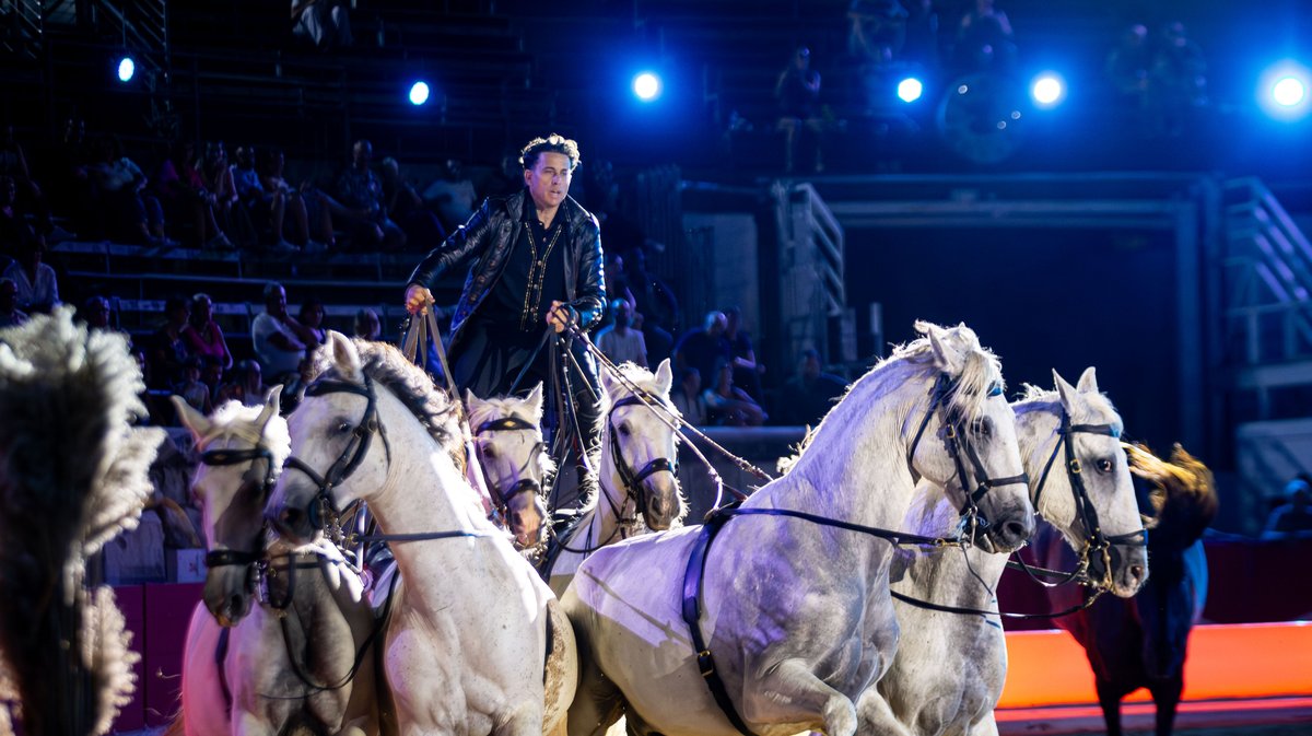 lorenzo et friends arenes nimes spectacle chevaux