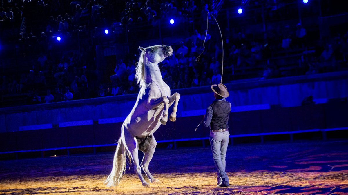 lorenzo et friends arenes nimes spectacle chevaux