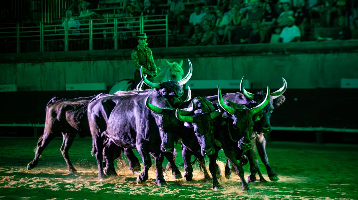 lorenzo et friends arenes nimes spectacle chevaux