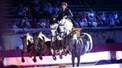 lorenzo et friends arenes nimes spectacle chevaux