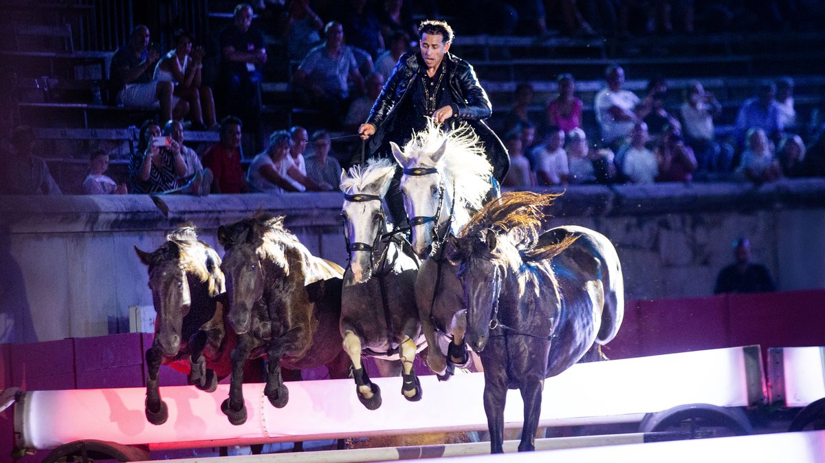 lorenzo et friends arenes nimes spectacle chevaux
