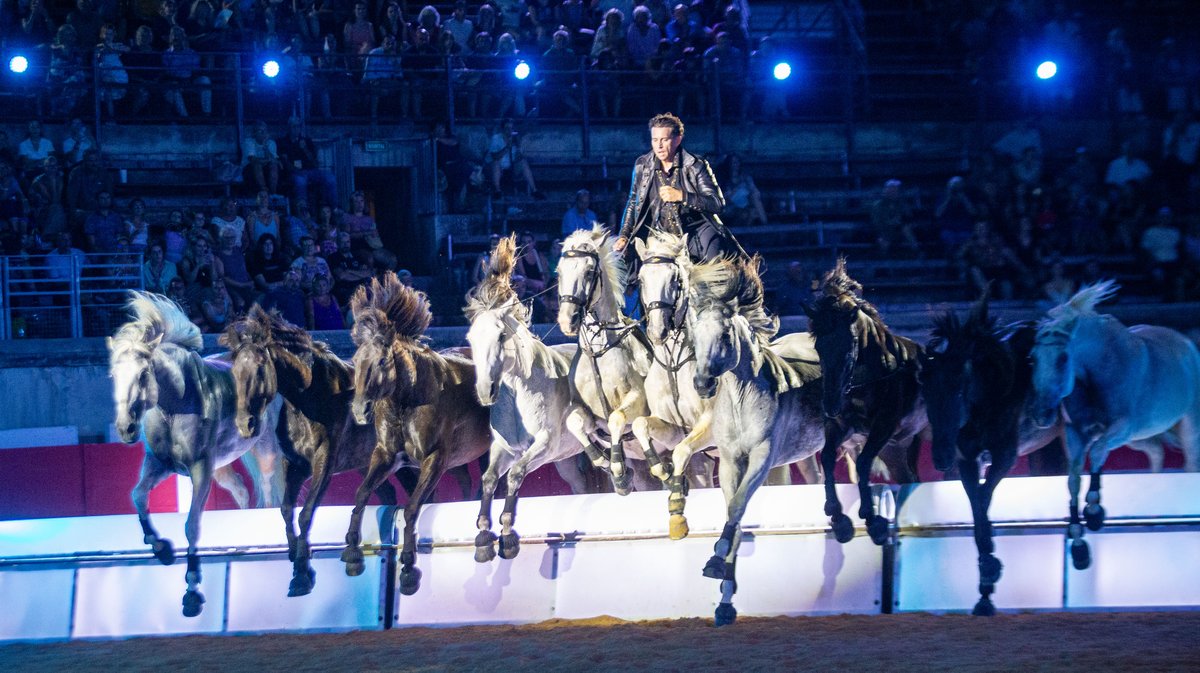 lorenzo et friends arenes nimes spectacle chevaux