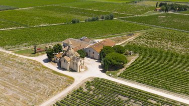 Vendanges Petite Camargue