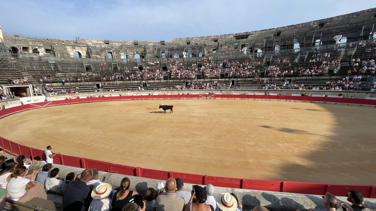Course camarguaise Grand Prix de la Ville de Nîmes 2026 (Photo Anthony Maurin)